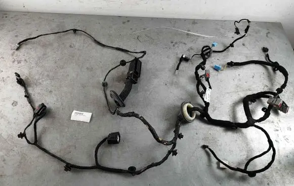 Jaguar F-Pace Front door wiring loom T4A5002
