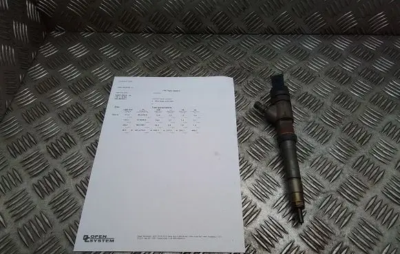 Fiat Ducato Fuel injector 0445110418 504389548