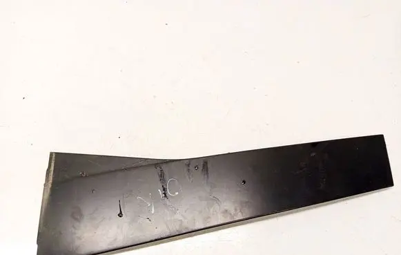 Volkswagen PASSAT B6 Other rear door trim element 