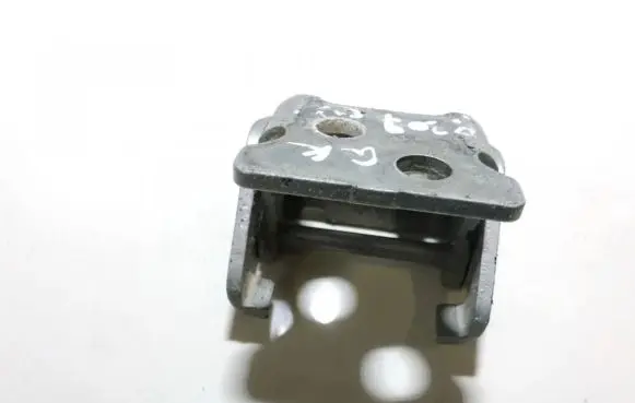 Peugeot 207 Rear door lower hinge
