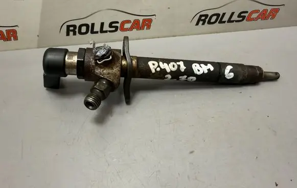 Peugeot 407 Fuel injector 5U3Q9K546AA