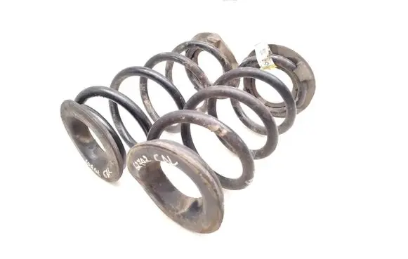 Tesla Model 3 Rear coil spring 1044472-00-H