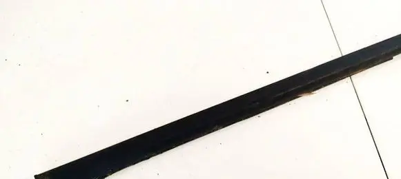Renault Scenic II - Grand scenic II Front door glass trim molding 