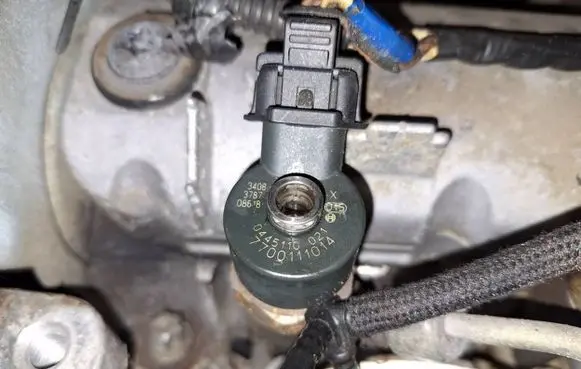 Renault Scenic I Fuel injector 0445110021