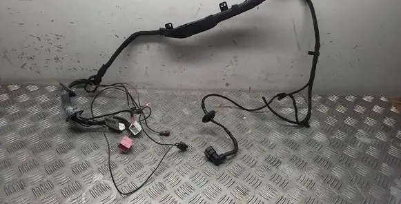 Porsche Cayenne (92A) Tailgate/trunk wiring harness 7P5971145
