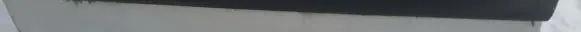 Citroen Xsara Picasso Front door trim (molding) 