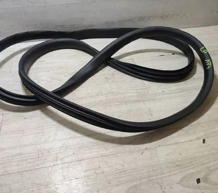Renault Kangoo III Front door rubber seal 