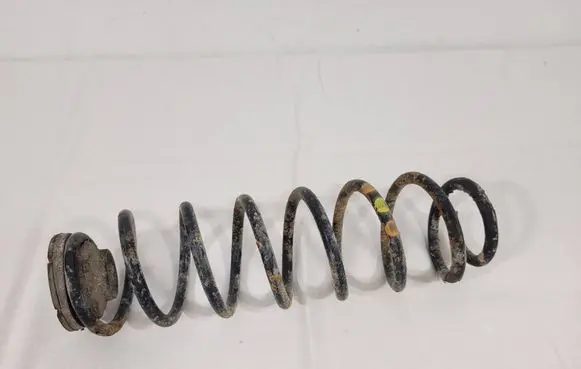 Rear coil spring