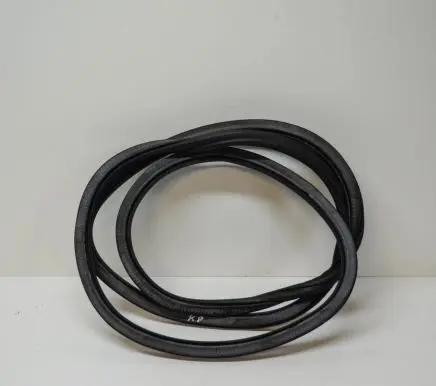 Audi Q5 SQ5 Rubber seal front coupe door 8R0831721D
