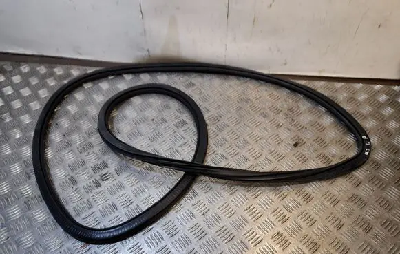 Audi Q3 8U Front door rubber seal