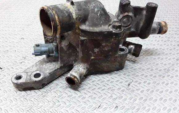 Thermostat/thermostat housing