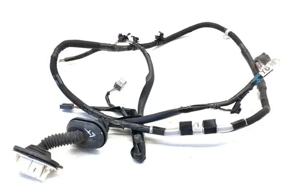 Lexus IS III XE30 Rear door wiring loom 