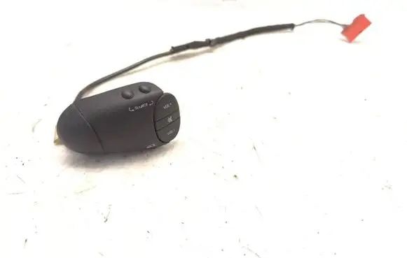 Multifunctional control switch/knob