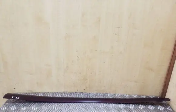 Front door trim (molding)