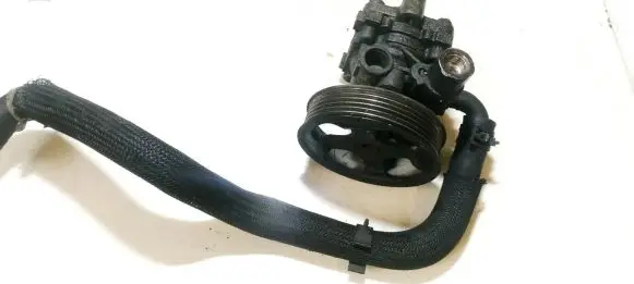 Hyundai Trajet Power steering pump