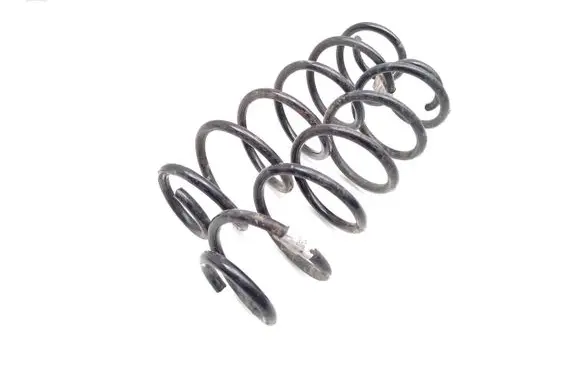 Rear coil spring