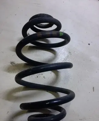 Volkswagen PASSAT B5.5 Rear coil spring