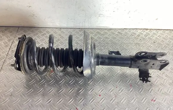 Lexus NX Front shock absorber with coil spring 4852078570