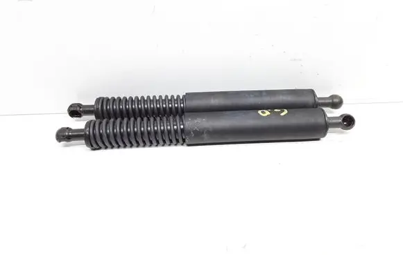 Mercedes-Benz R W251 Tailgate/trunk strut/damper A2519801164