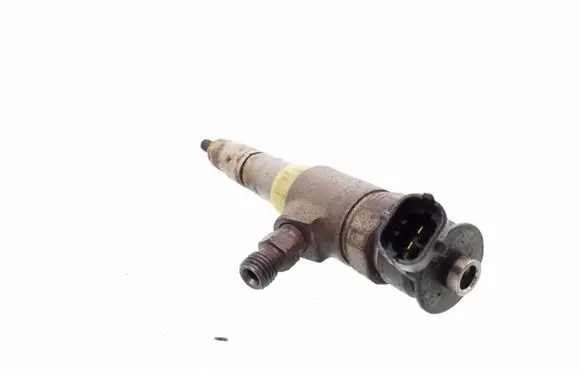 Ford Fiesta Fuel injector CV6Q9F593AA 0445110489