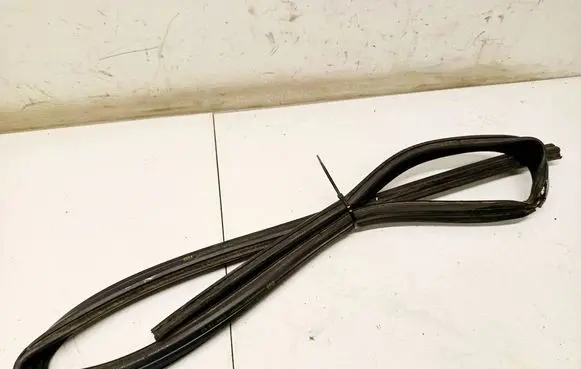 Opel Astra H Rubber seal front coupe door 000205237