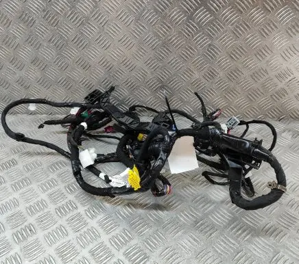 Tesla Model Y Other wiring loom 248904802B