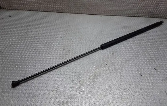 Tailgate/trunk strut/damper