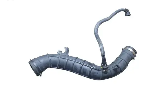 Renault Espace - Grand espace IV Air intake hose/pipe 8200026095