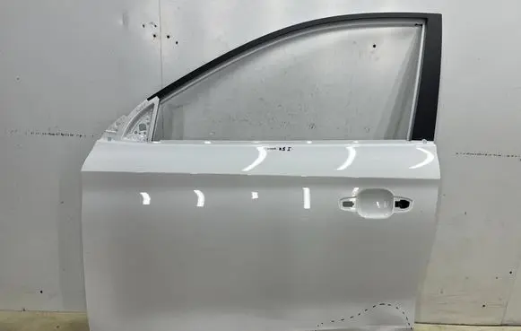 MG ZS Front door