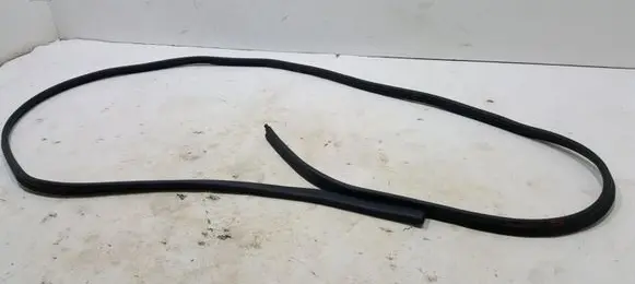 Renault Express Rubber seal sliding door (on door) 