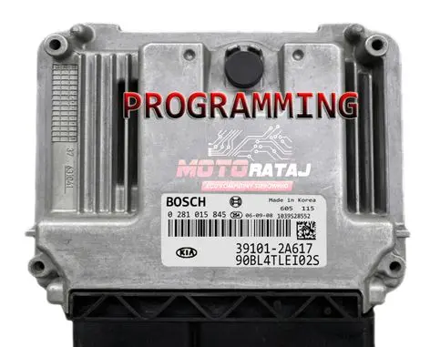 KIA Rio Engine control unit/module ECU 391012A617 0281015845
