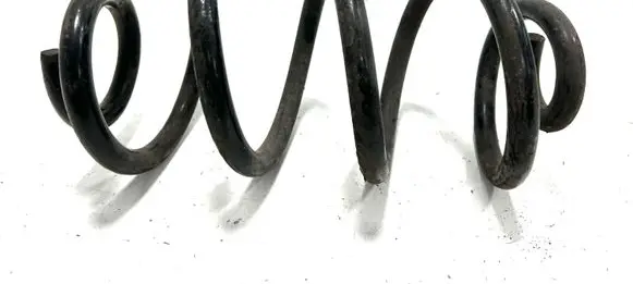 Rear coil spring