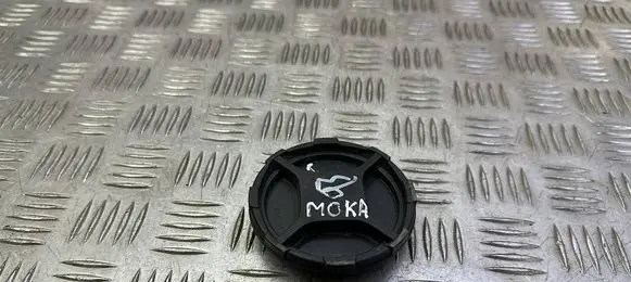Headlight/headlamp dust cover