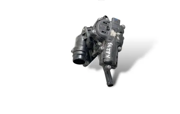 Hyundai Tucson IV NX4 EGR thermostat F62300404 256002M810
