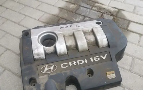 Hyundai Trajet Engine cover (trim) 2924027101