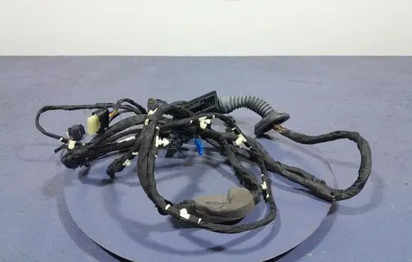 BMW X7 G07 Other wiring loom 8779790