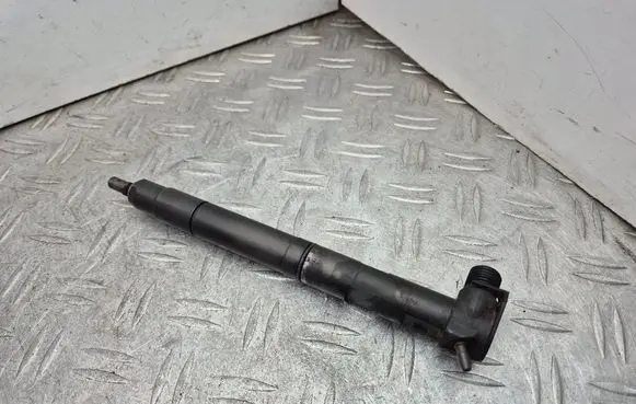 Opel Antara Fuel injector 25195089 28489548
