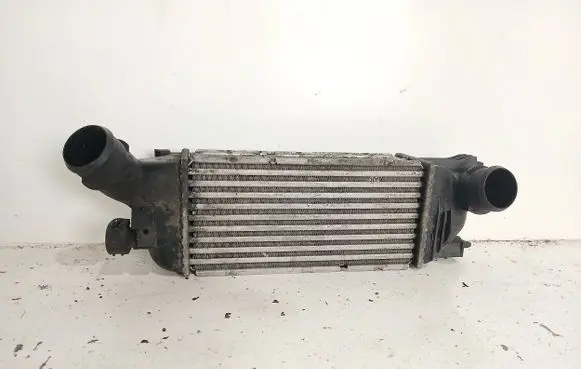 Peugeot 407 Intercooler radiator 874823n
