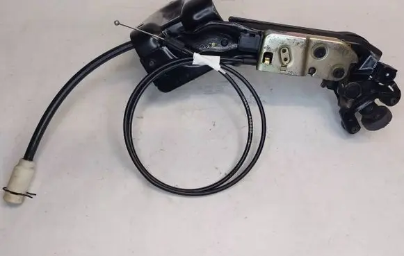 Chrysler Grand Voyager IV Tailgate/trunk/boot hinge 4125412