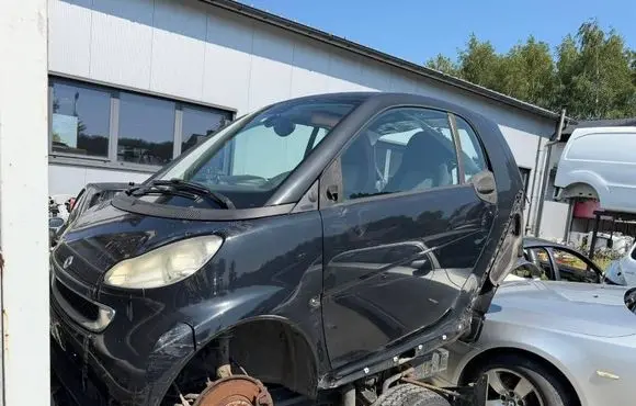 Smart ForTwo II Door (2 Door Coupe) SMART451DRZWILP