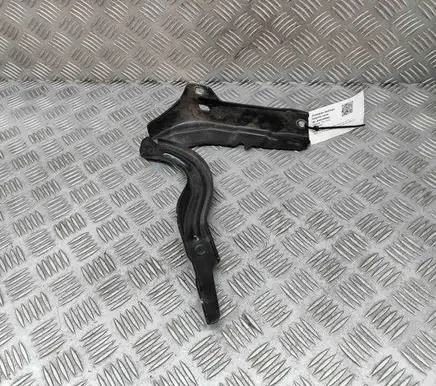 Hyundai Santa Fe Engine bonnet/hood hinges 66920S3000
