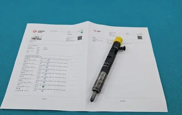 Renault Scenic II - Grand scenic II Fuel injector EJBR02101Z IMPRK1404581