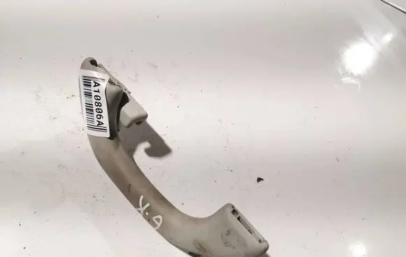 Volkswagen Golf V Rear interior roof grab handle