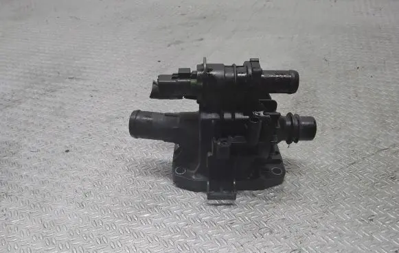 Thermostat/thermostat housing