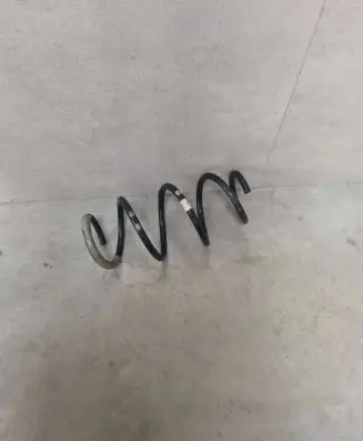 Front coil spring
