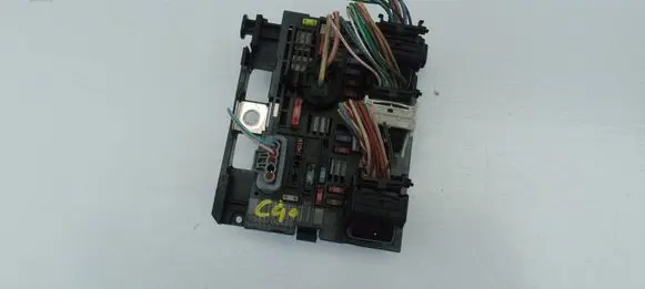 Citroen C4 I Fuse module 9666700480