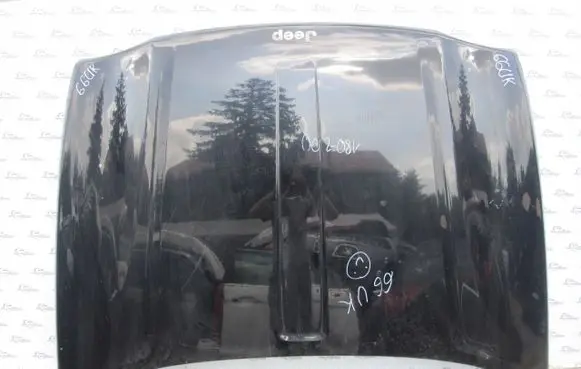 Engine bonnet/hood