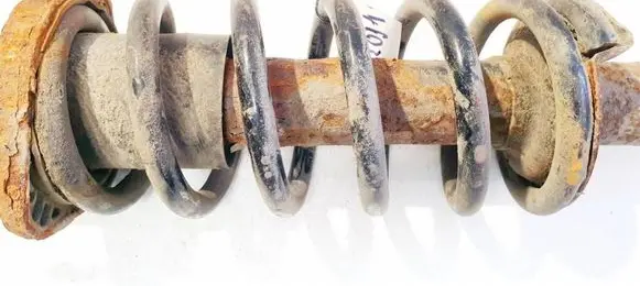 Rear coil spring