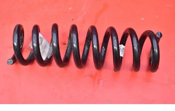 Rear coil spring