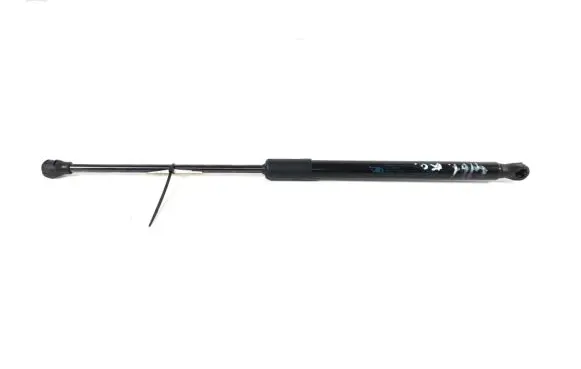 Dacia Sandero III Tailgate strut 904529961R